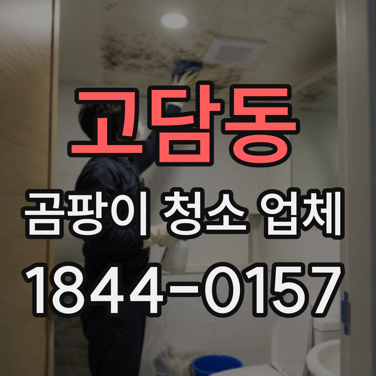 고담동 곰팡이 청소 업체