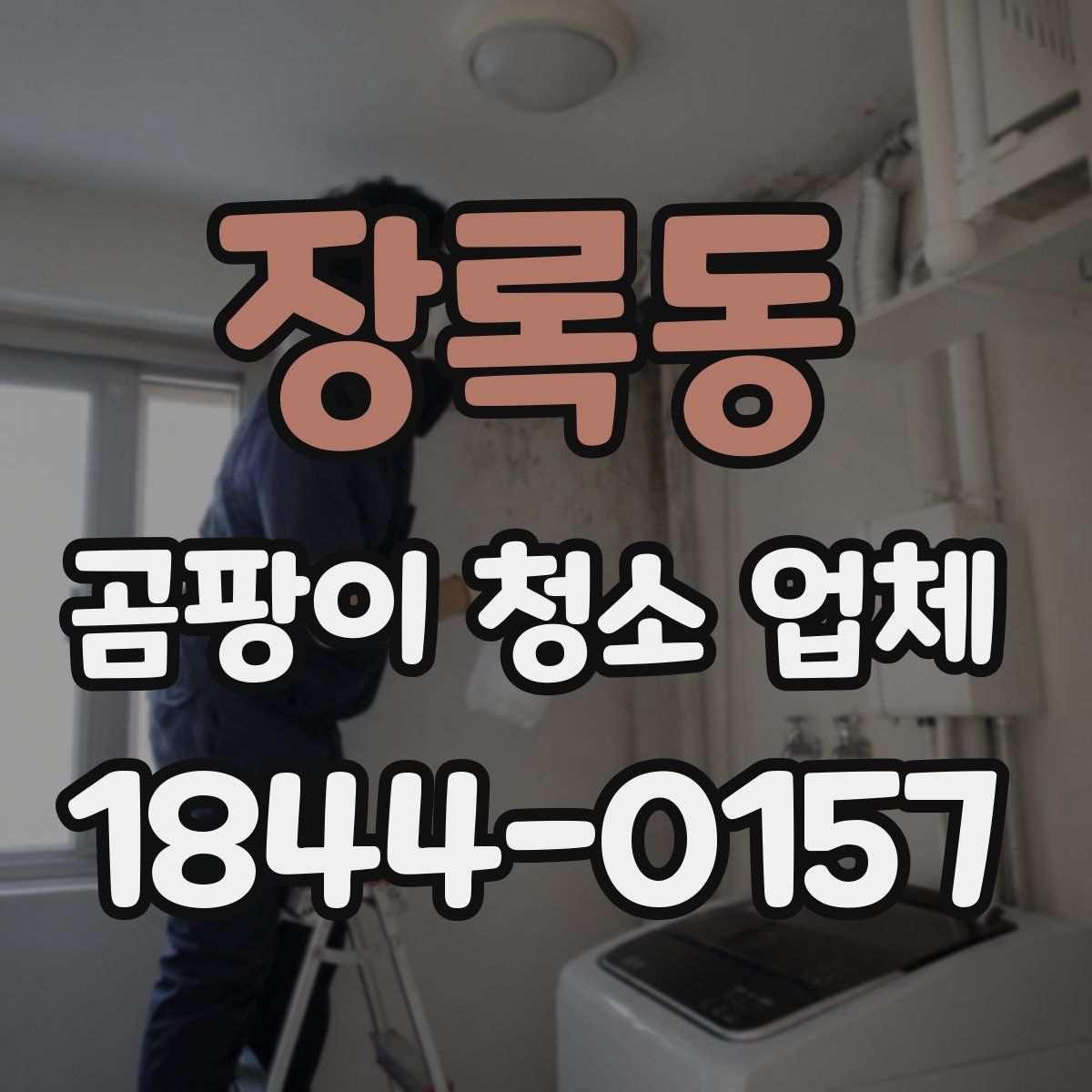 장록동 곰팡이 청소 업체