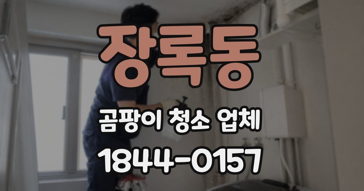 장록동 곰팡이 청소 업체