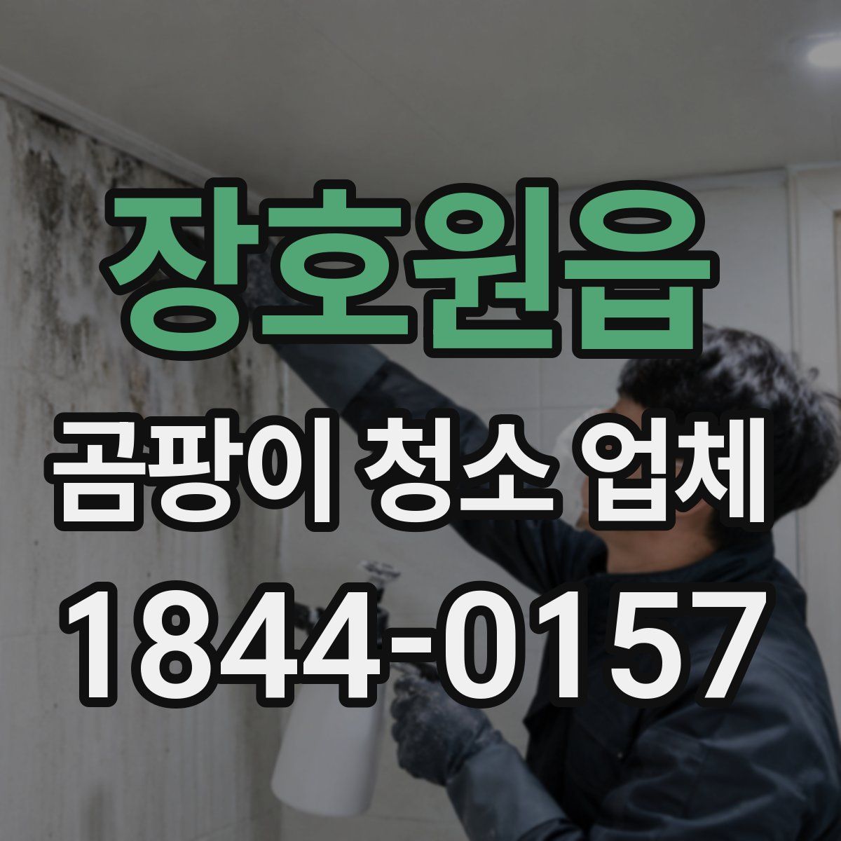장호원읍 곰팡이 청소 업체
