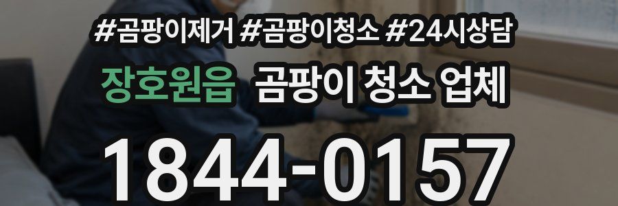 장호원읍 곰팡이 청소 업체