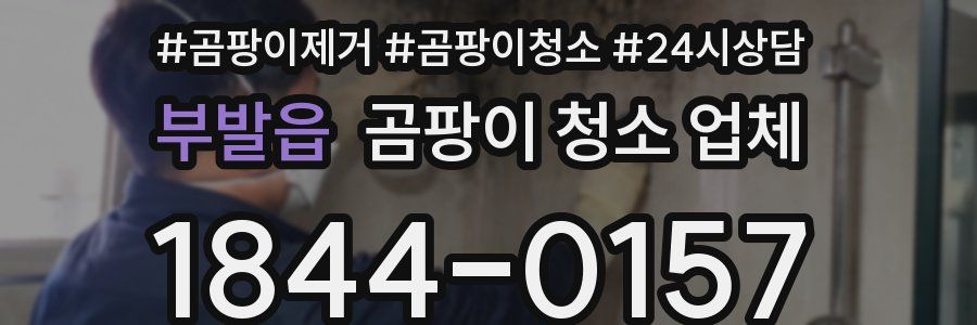 부발읍 곰팡이 청소 업체