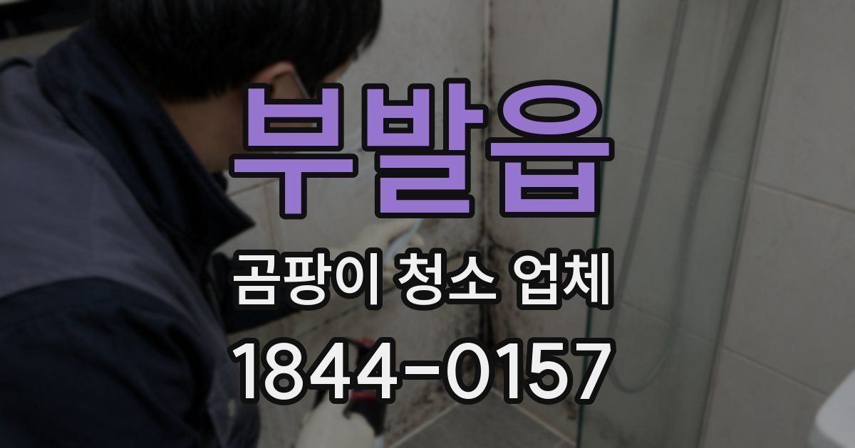 부발읍 곰팡이 청소 업체