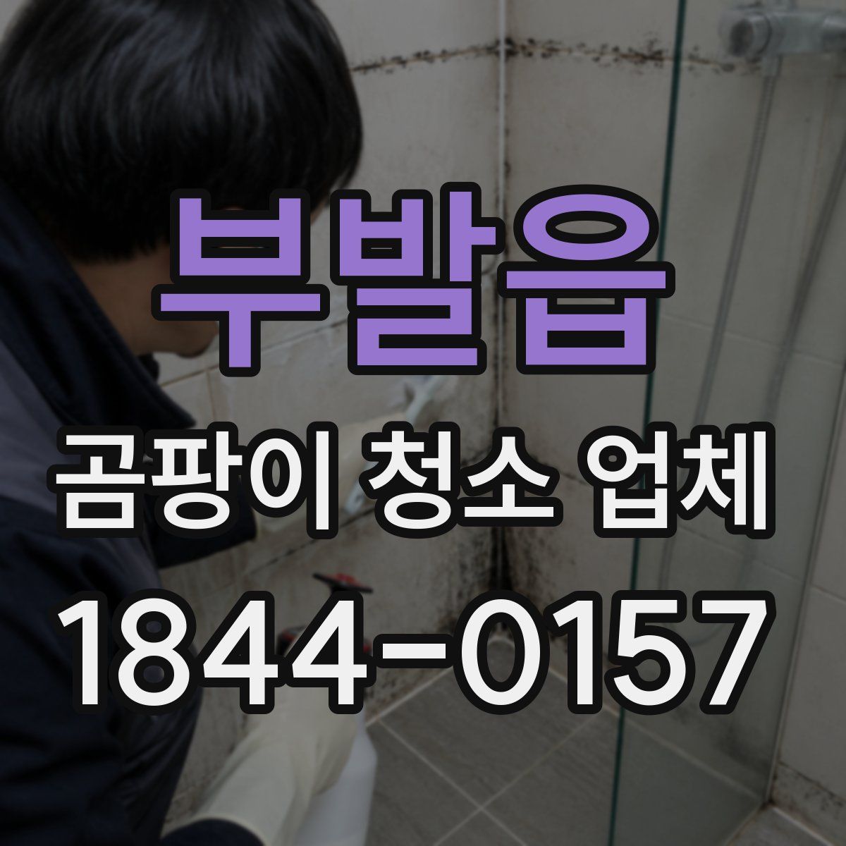 부발읍 곰팡이 청소 업체