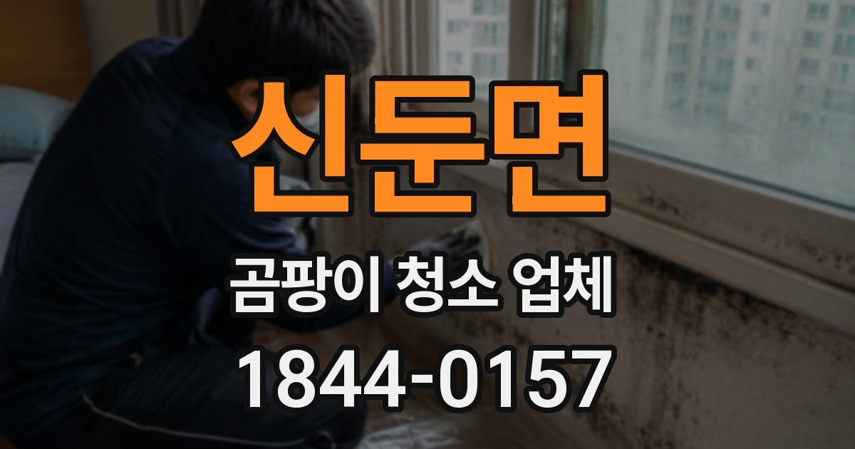 신둔면 곰팡이 청소 업체