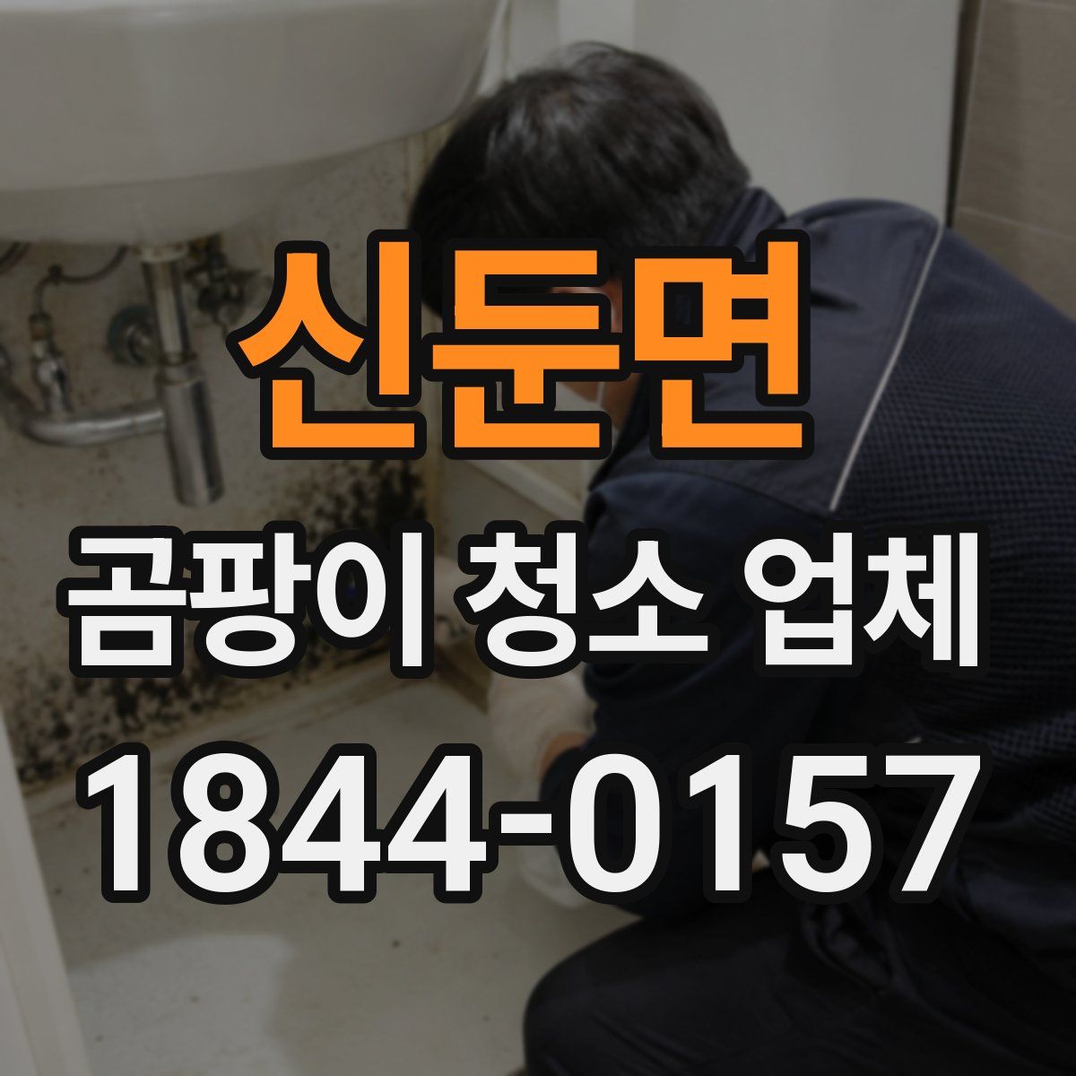 신둔면 곰팡이 청소 업체