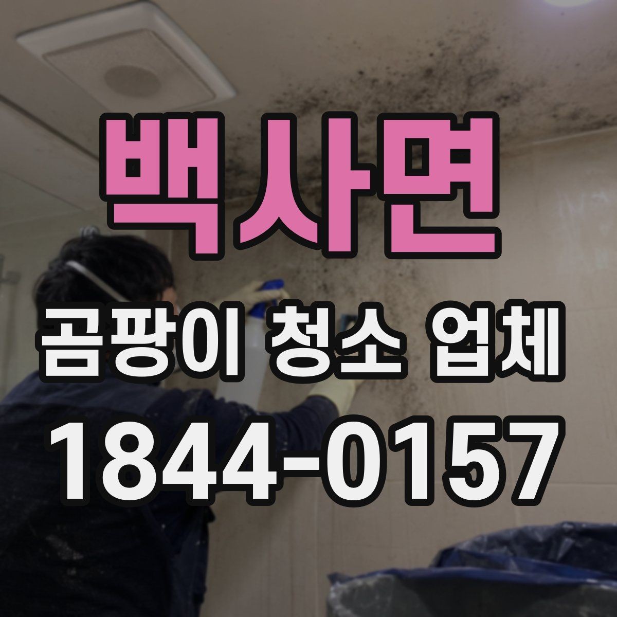 백사면 곰팡이 청소 업체 견적 전 확인할 현장 작업 항목
