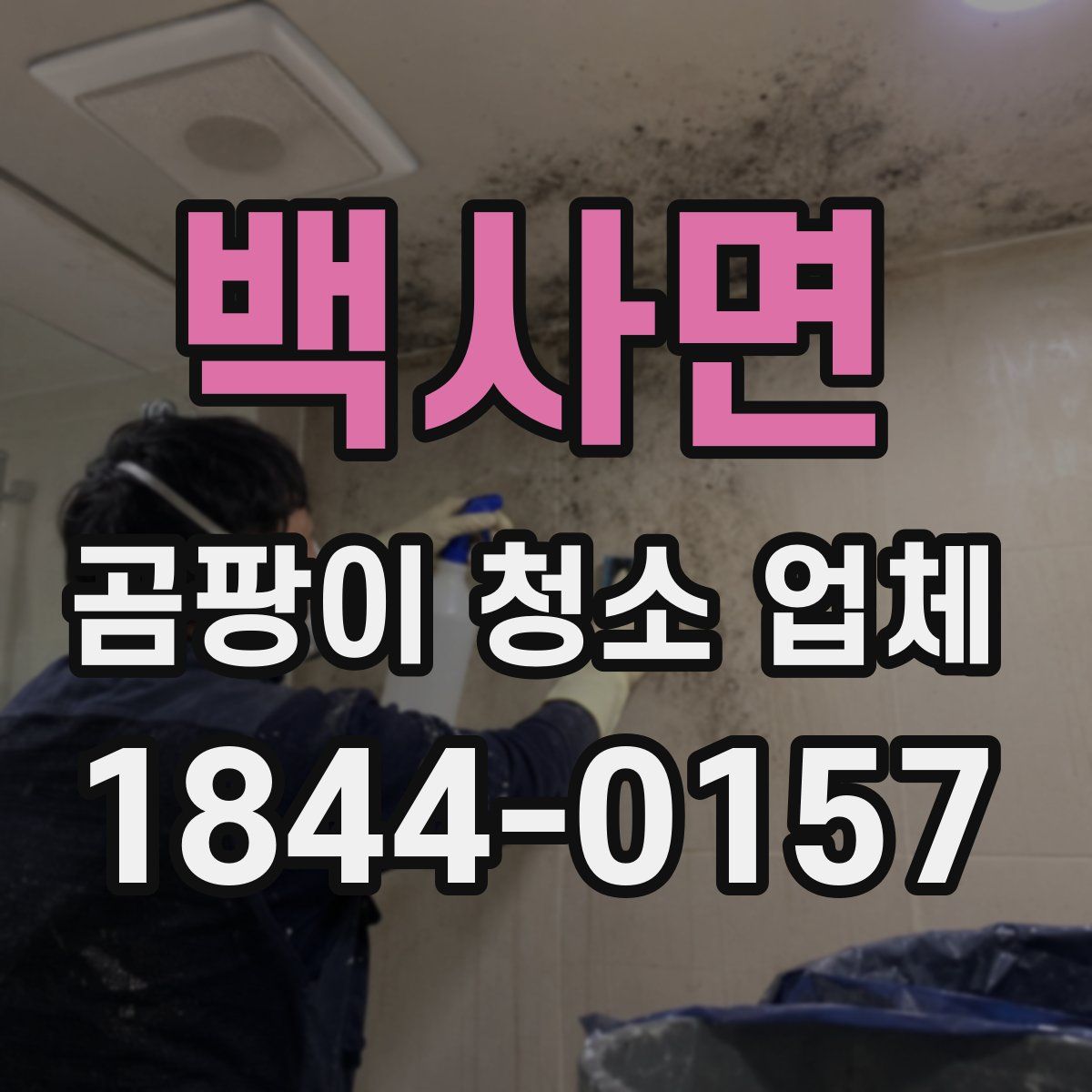백사면 곰팡이 청소 업체
