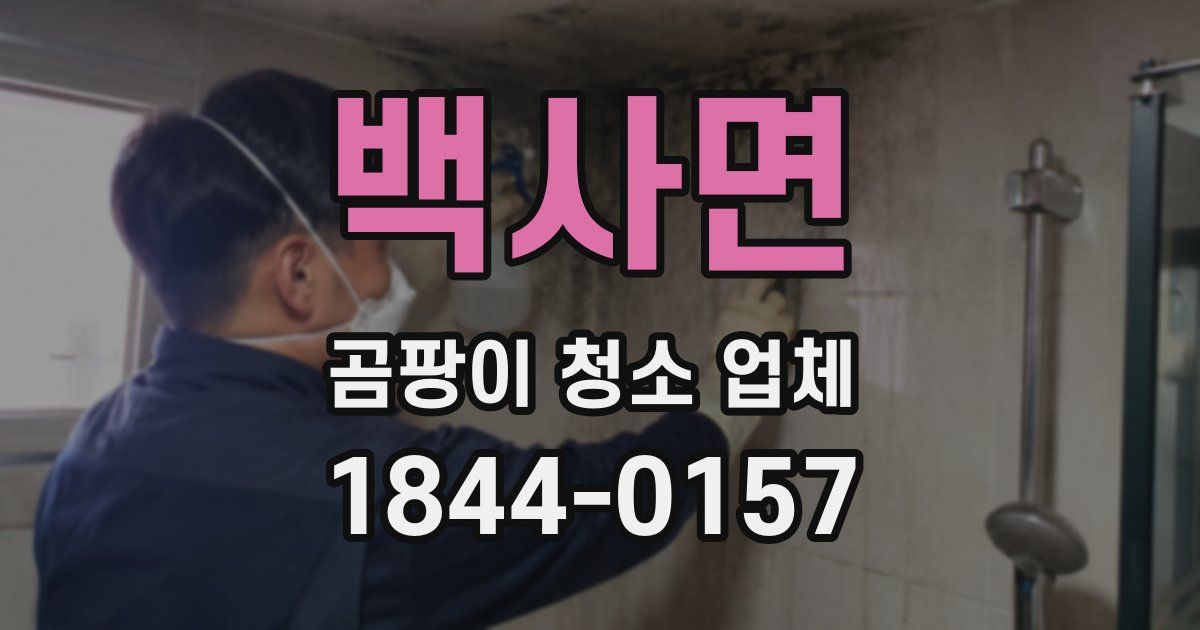 백사면 곰팡이 청소 업체