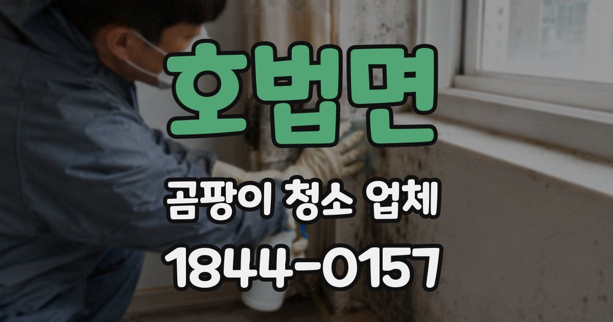 호법면 곰팡이 청소 업체