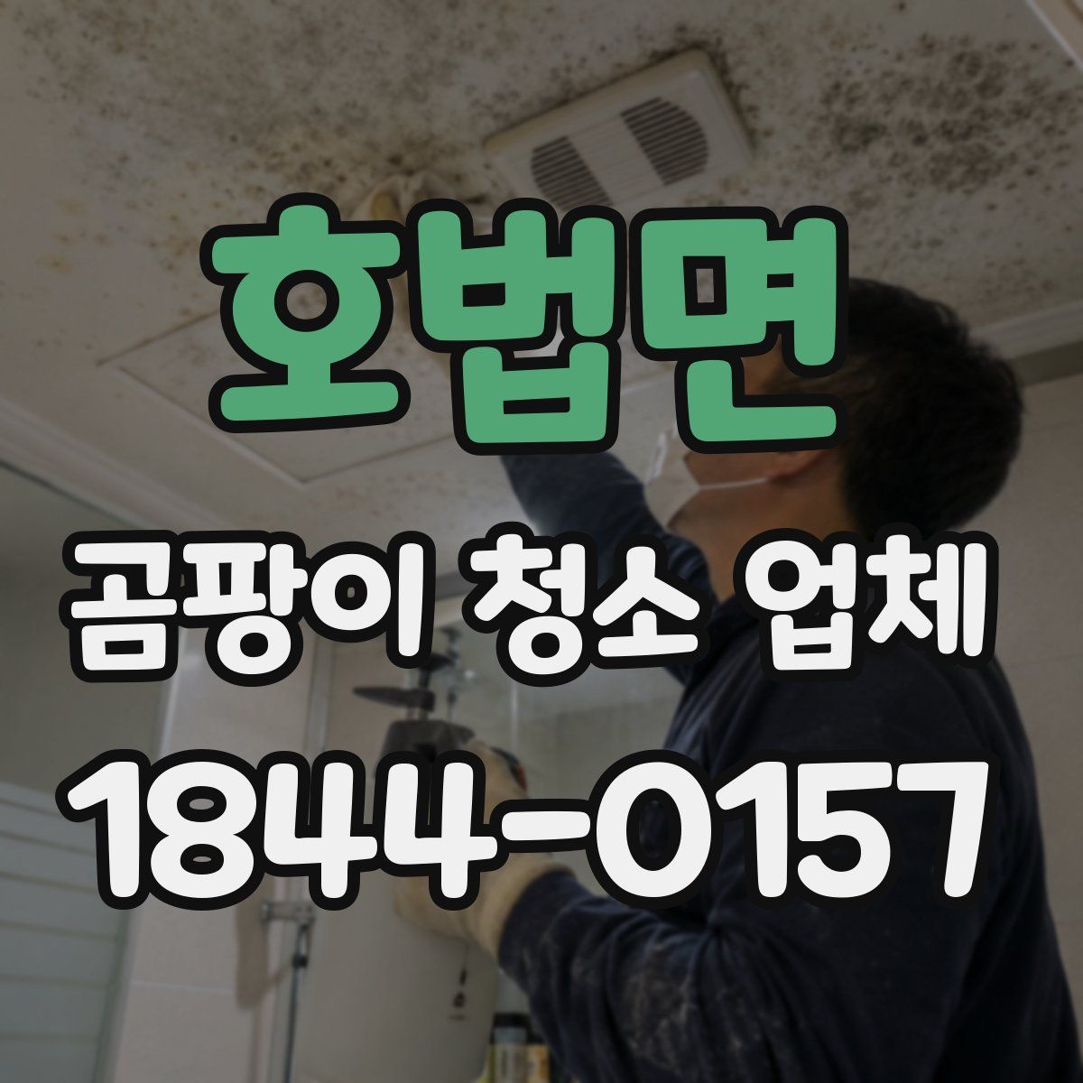 호법면 곰팡이 청소 업체