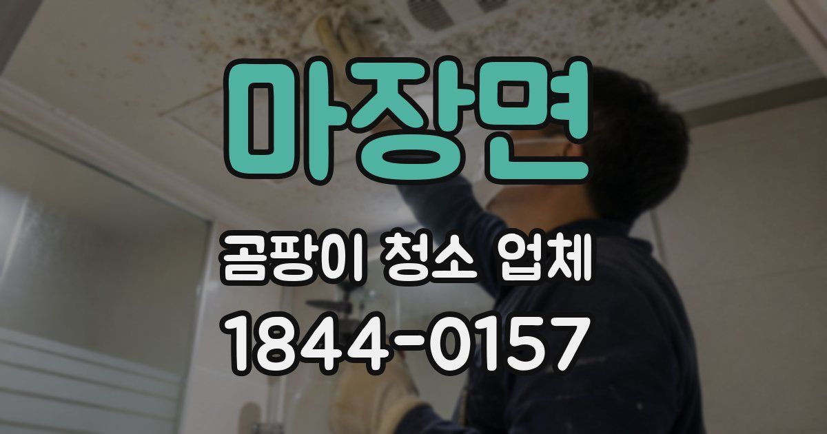 마장면 곰팡이 청소 업체
