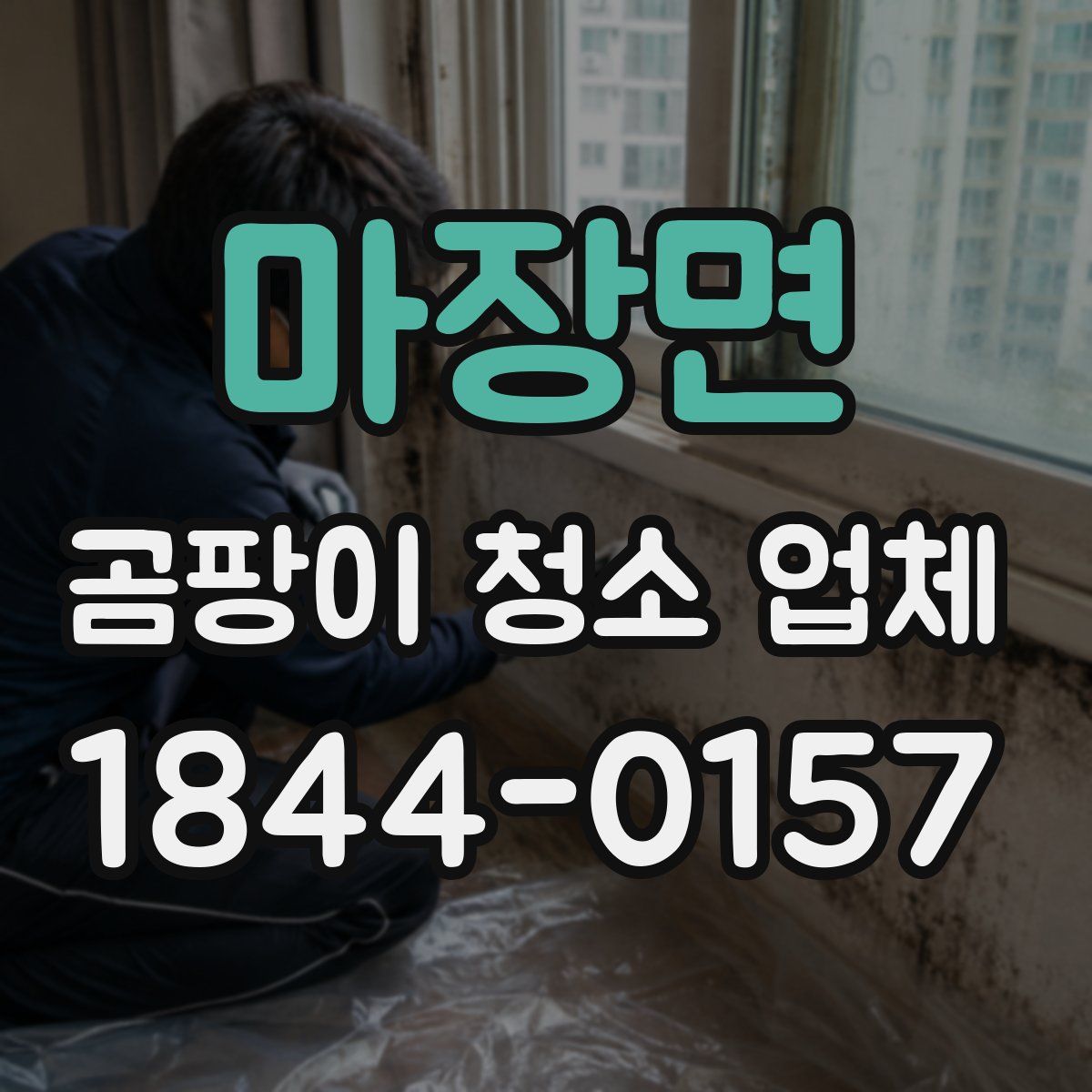 마장면 곰팡이 청소 업체