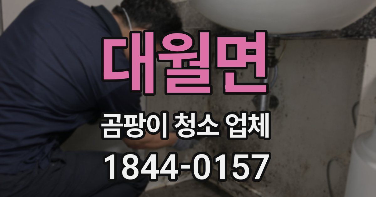 대월면 곰팡이 청소 업체