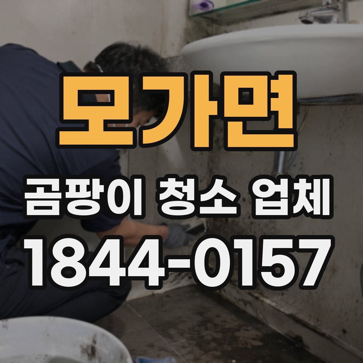 모가면 곰팡이 청소 업체