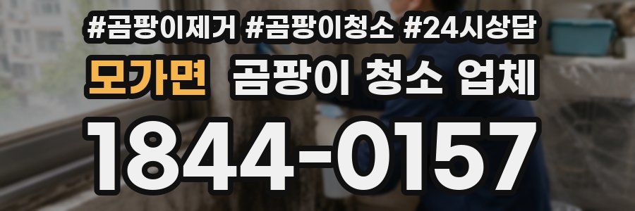 모가면 곰팡이 청소 업체