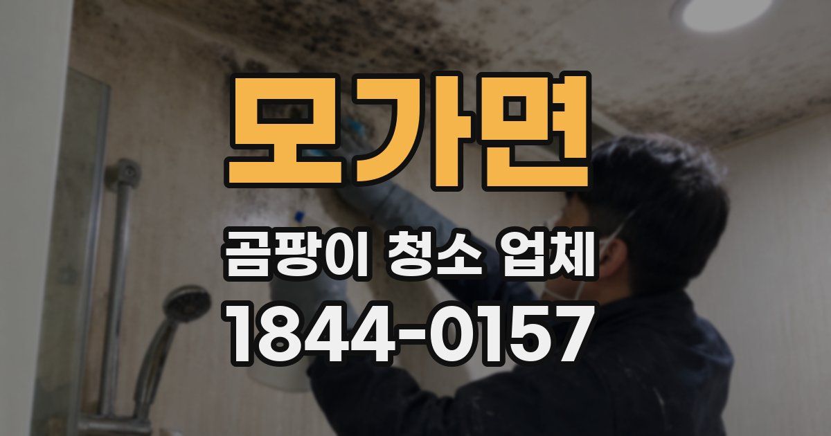 모가면 곰팡이 청소 업체