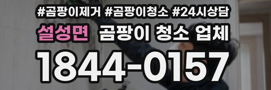 설성면 곰팡이 청소 업체