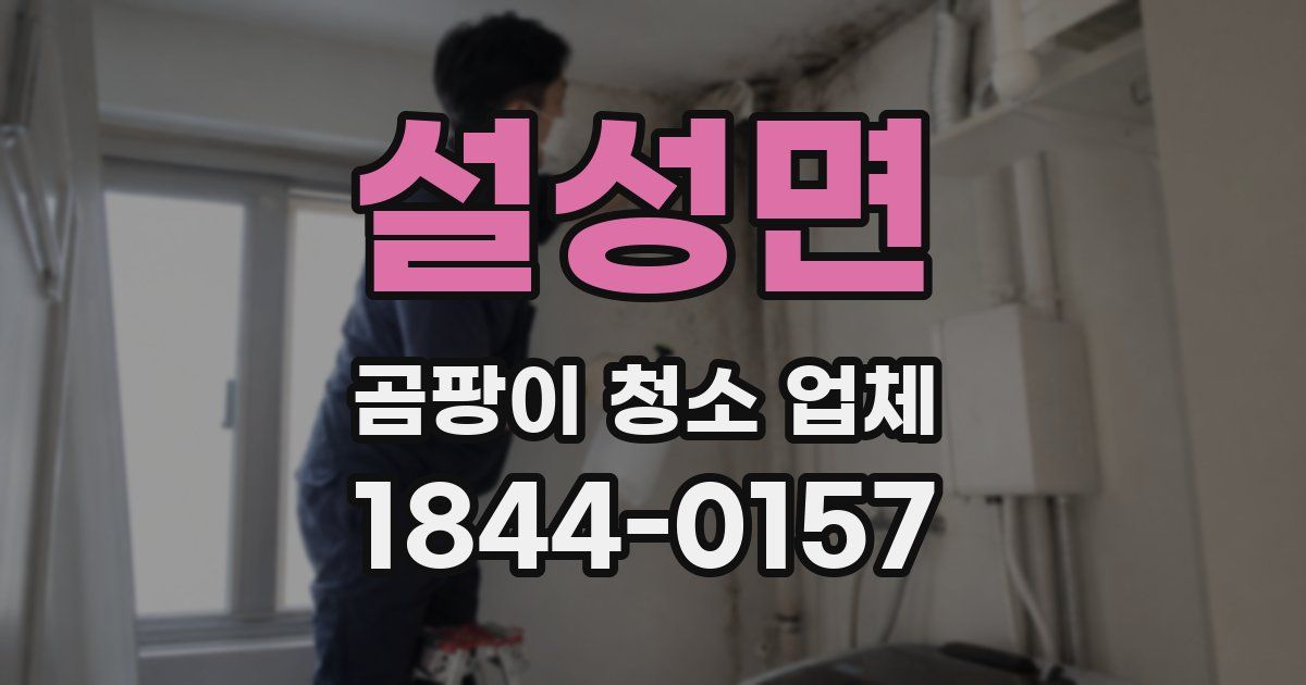 설성면 곰팡이 청소 업체