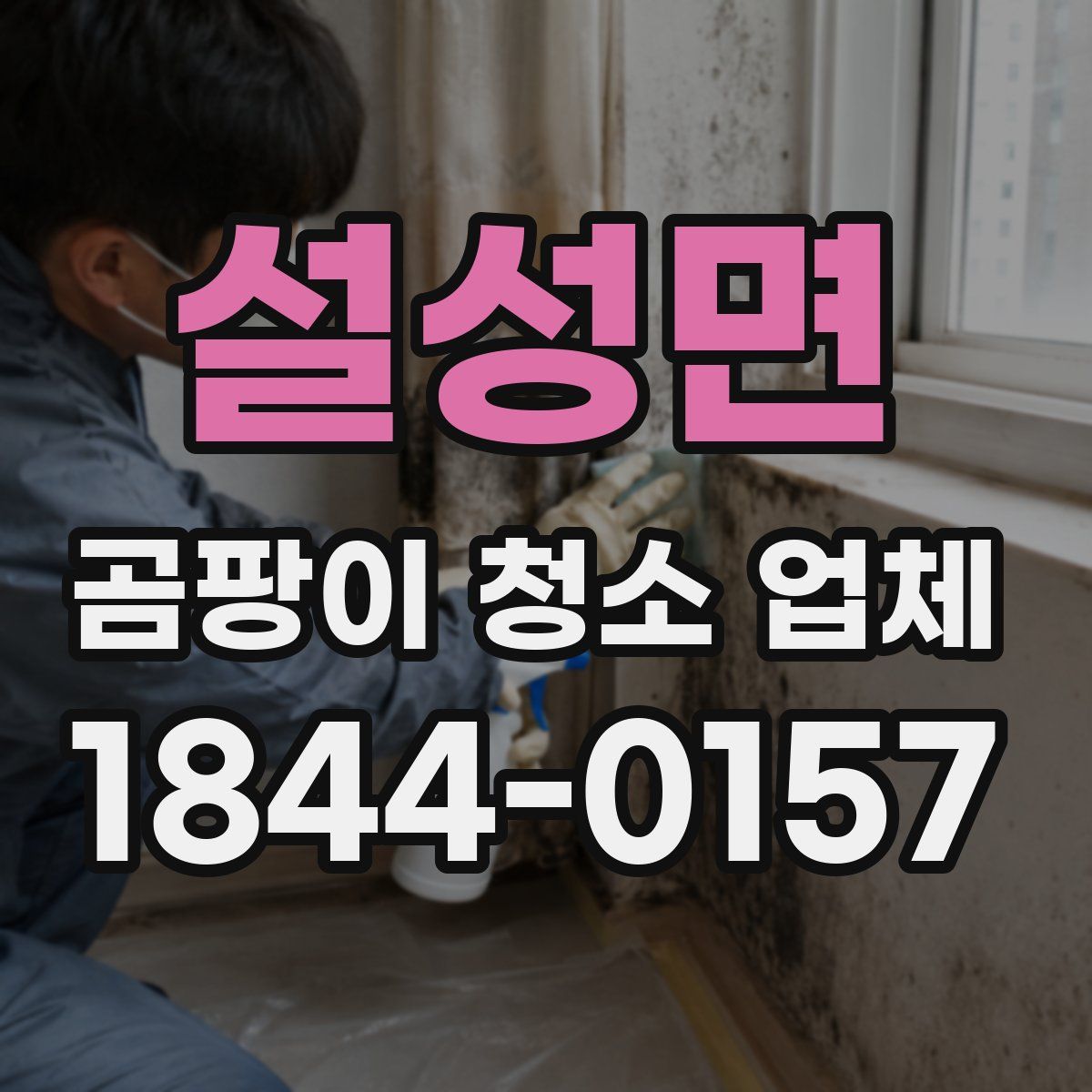 설성면 곰팡이 청소 업체