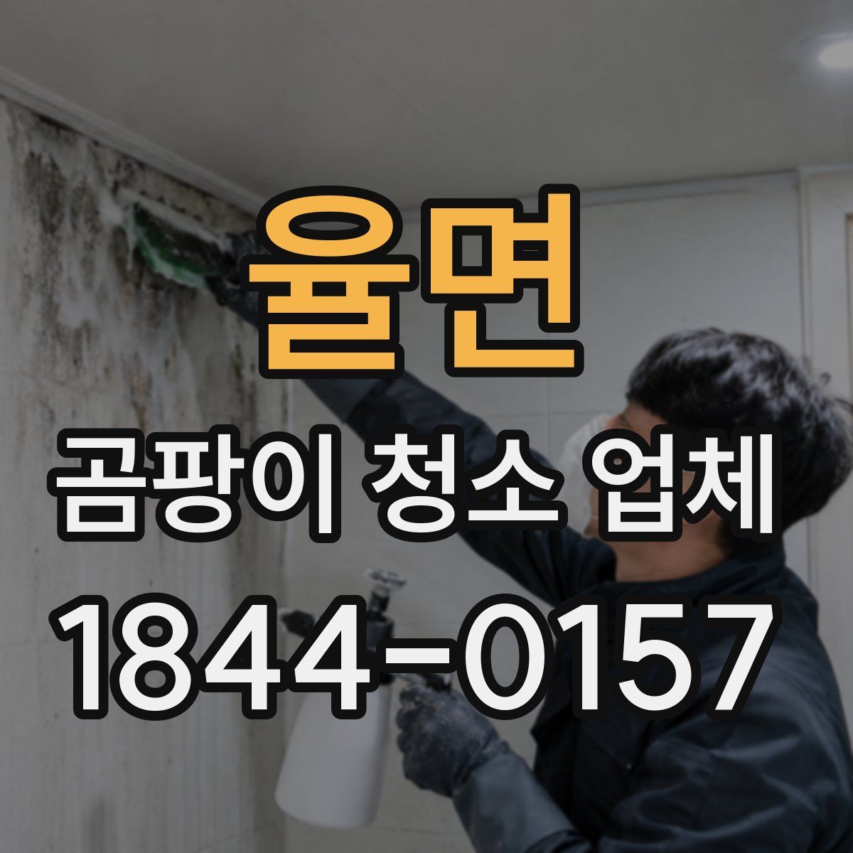 율면 곰팡이 청소 업체
