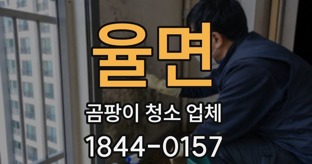 율면 곰팡이 청소 업체