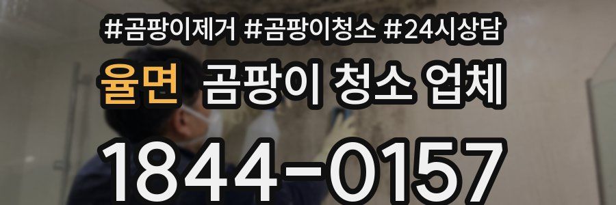 율면 곰팡이 청소 업체