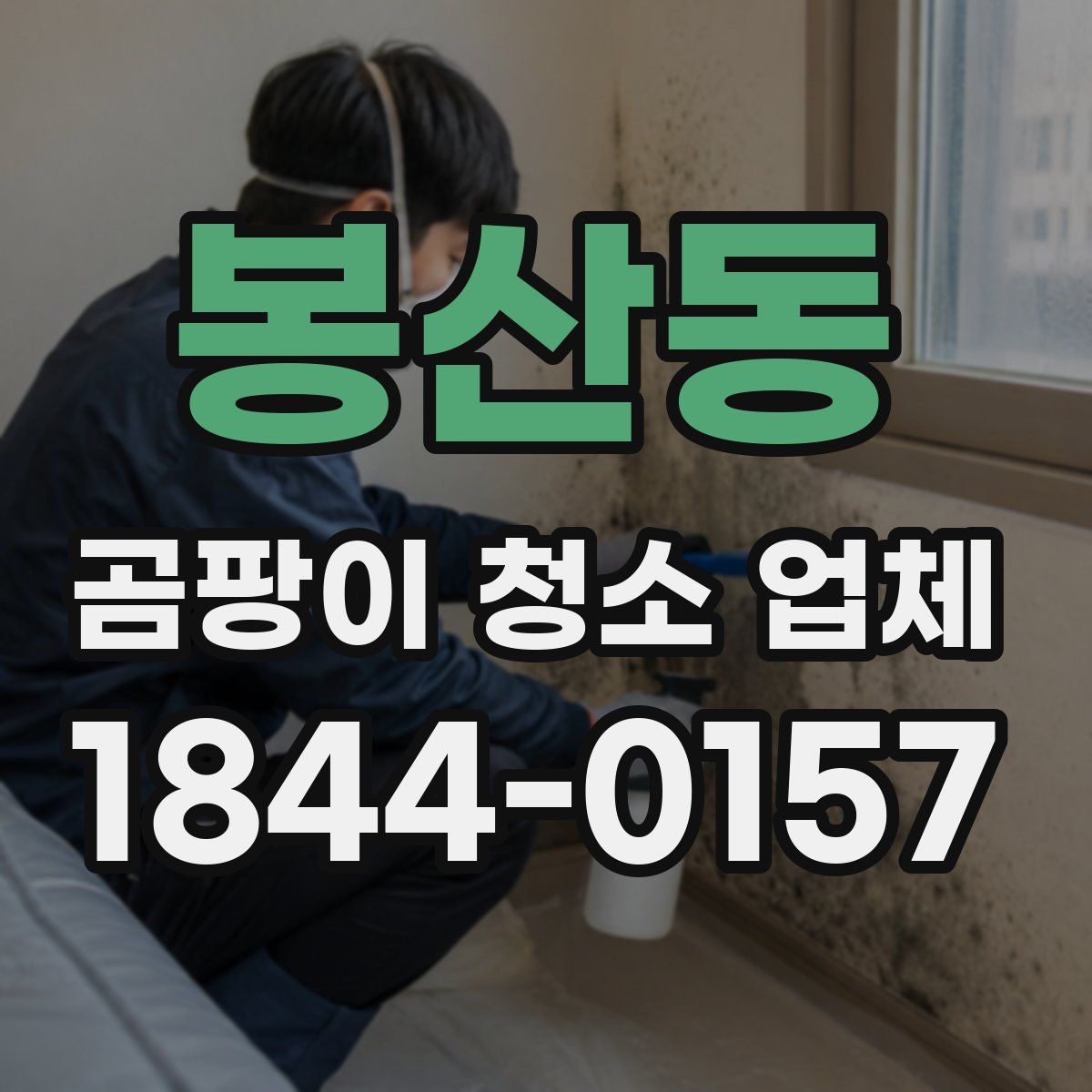 봉산동 곰팡이 청소 업체