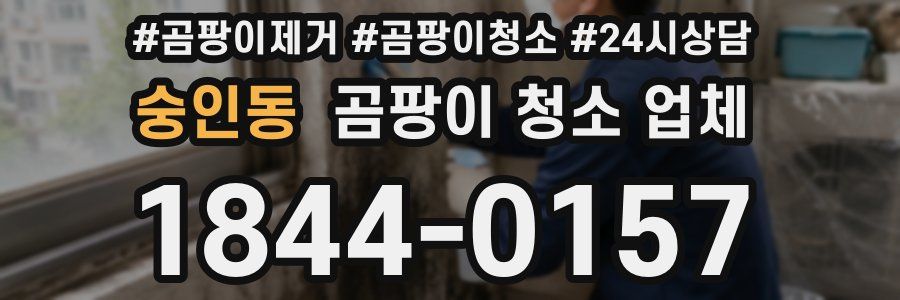 숭인동 곰팡이 청소 업체