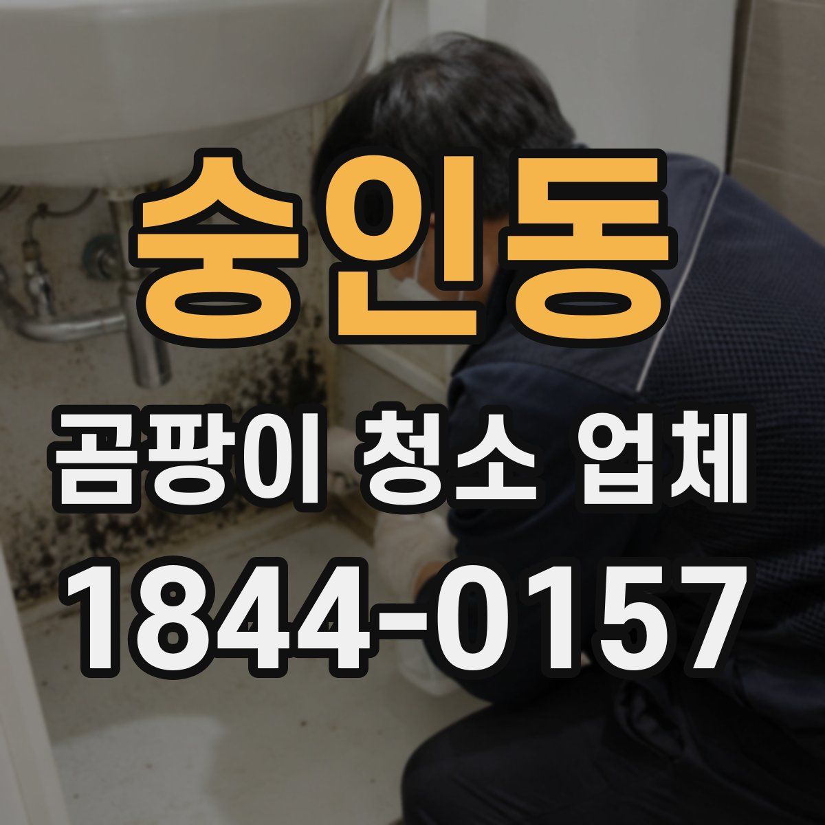 숭인동 곰팡이 청소 업체