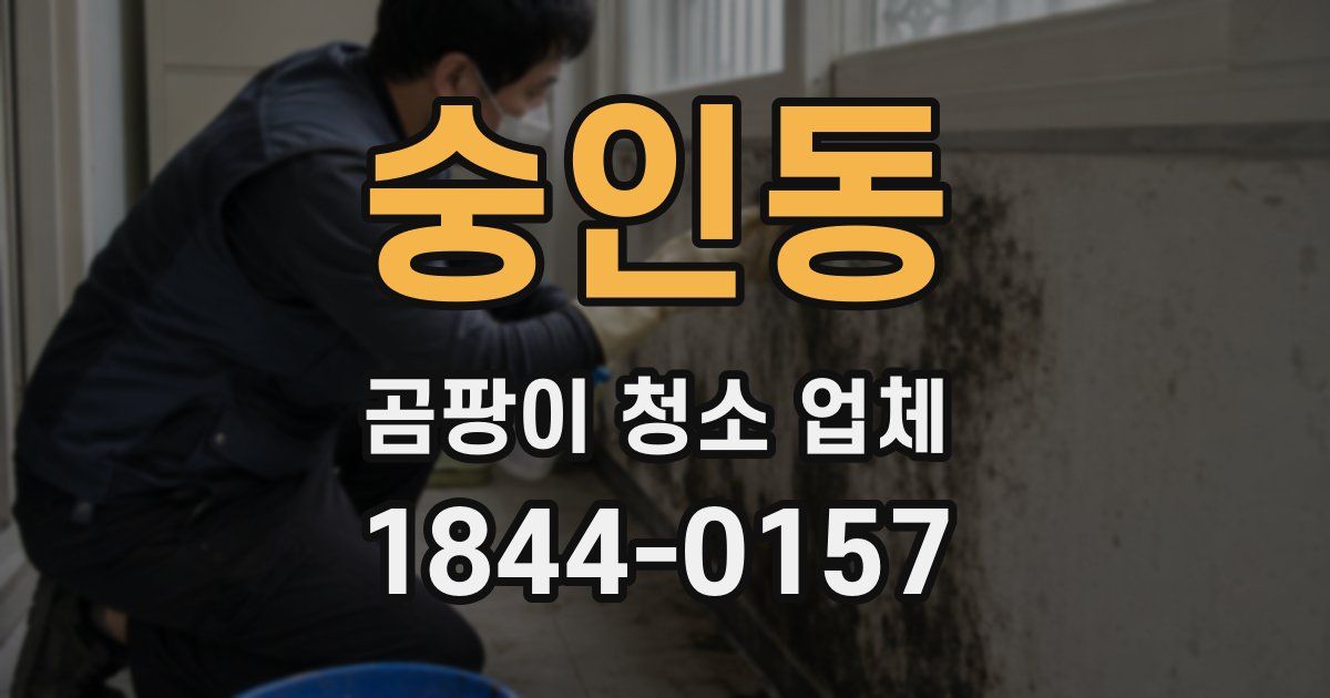 숭인동 곰팡이 청소 업체
