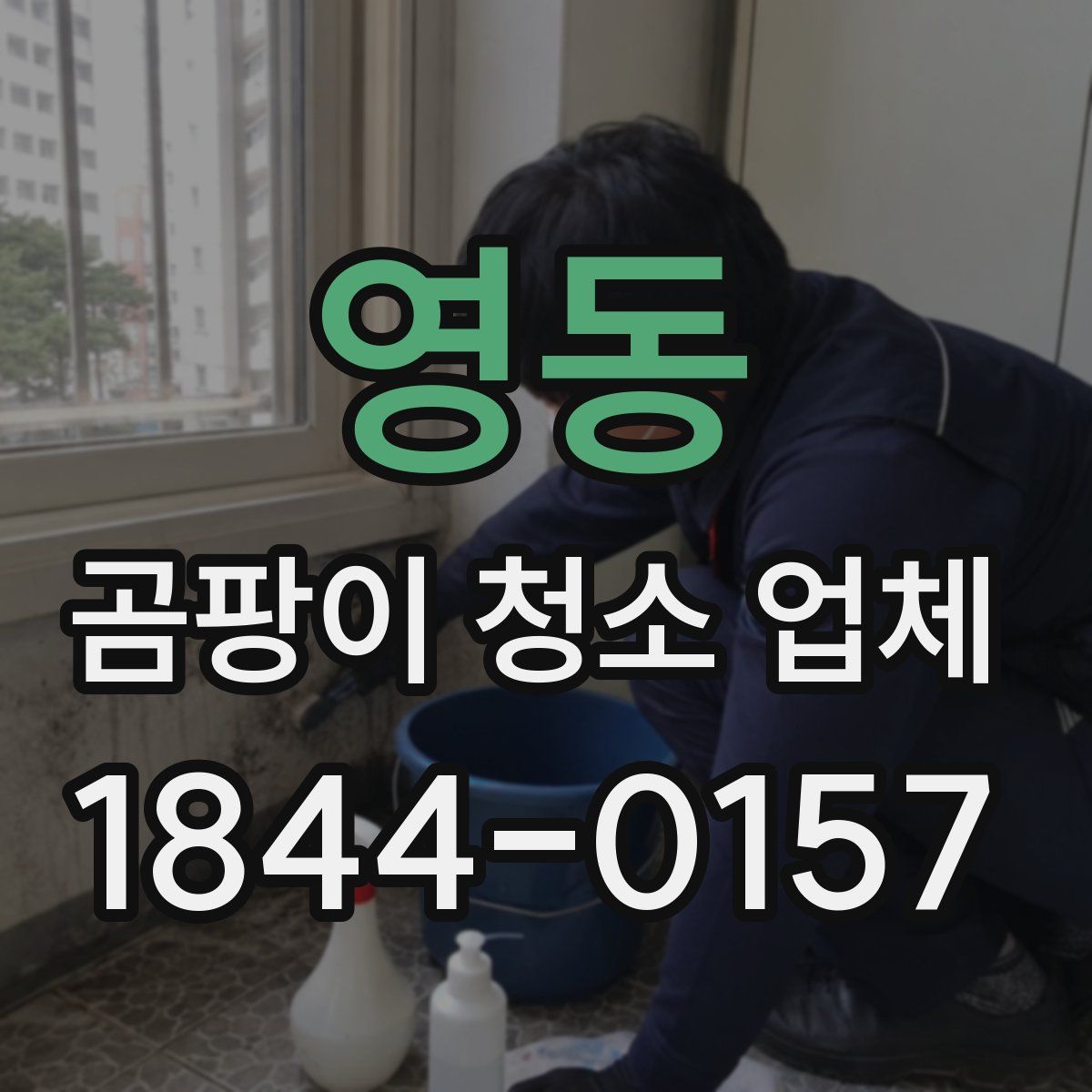 영동 곰팡이 청소 업체