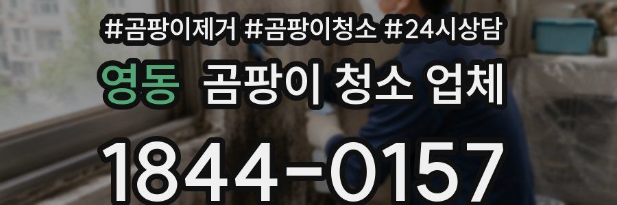 영동 곰팡이 청소 업체