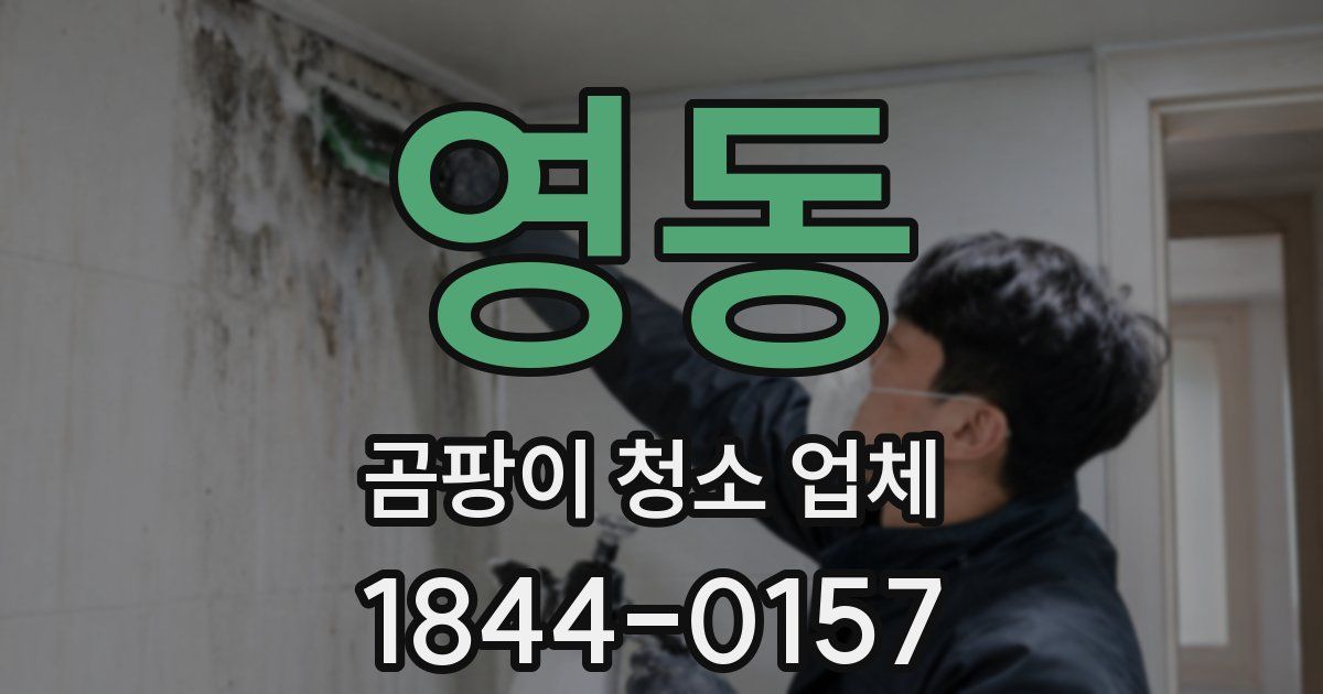 영동 곰팡이 청소 업체