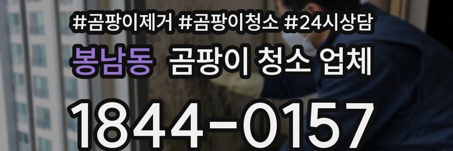 봉남동 곰팡이 청소 업체