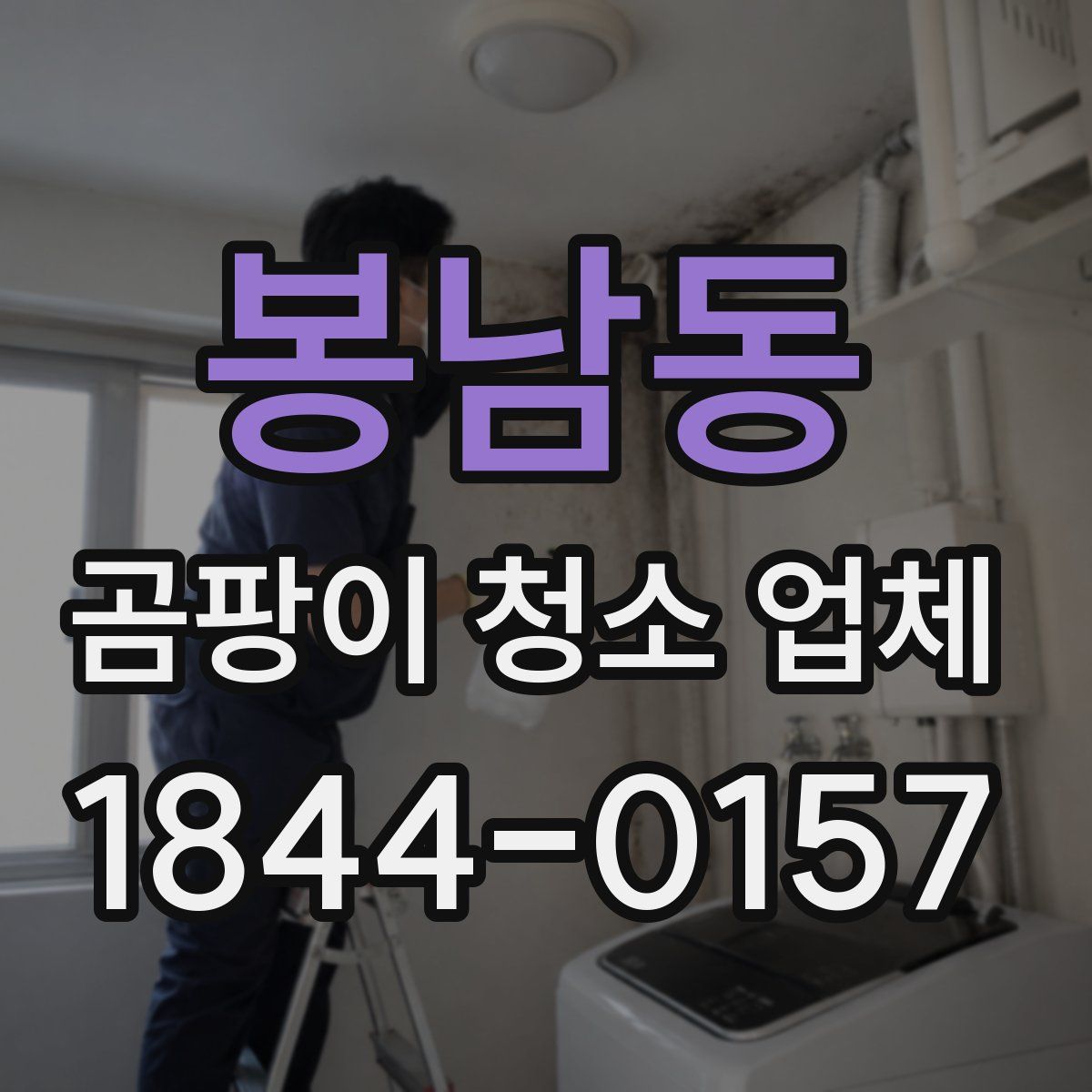 봉남동 곰팡이 청소 업체