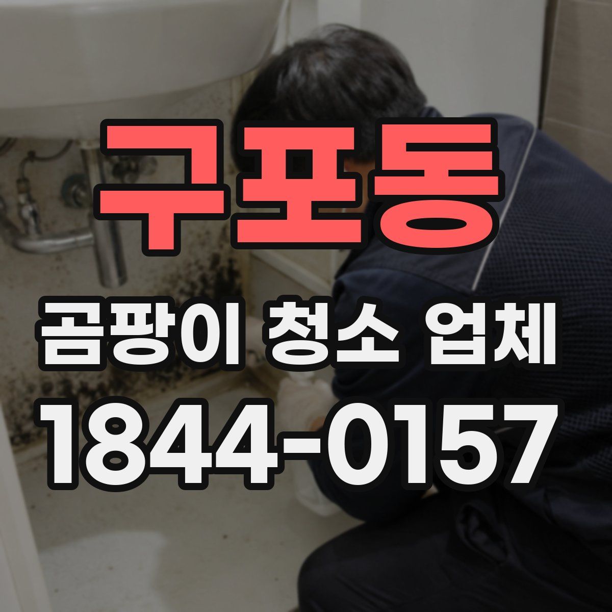 구포동 곰팡이 청소 업체