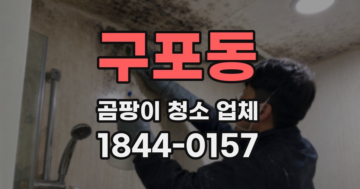 구포동 곰팡이 청소 업체