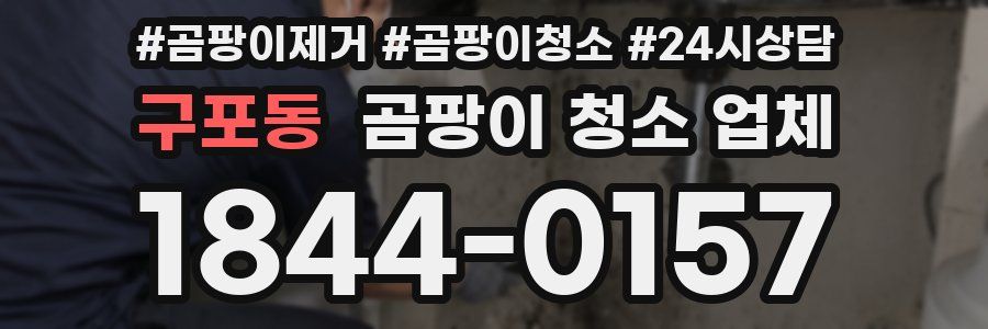 구포동 곰팡이 청소 업체