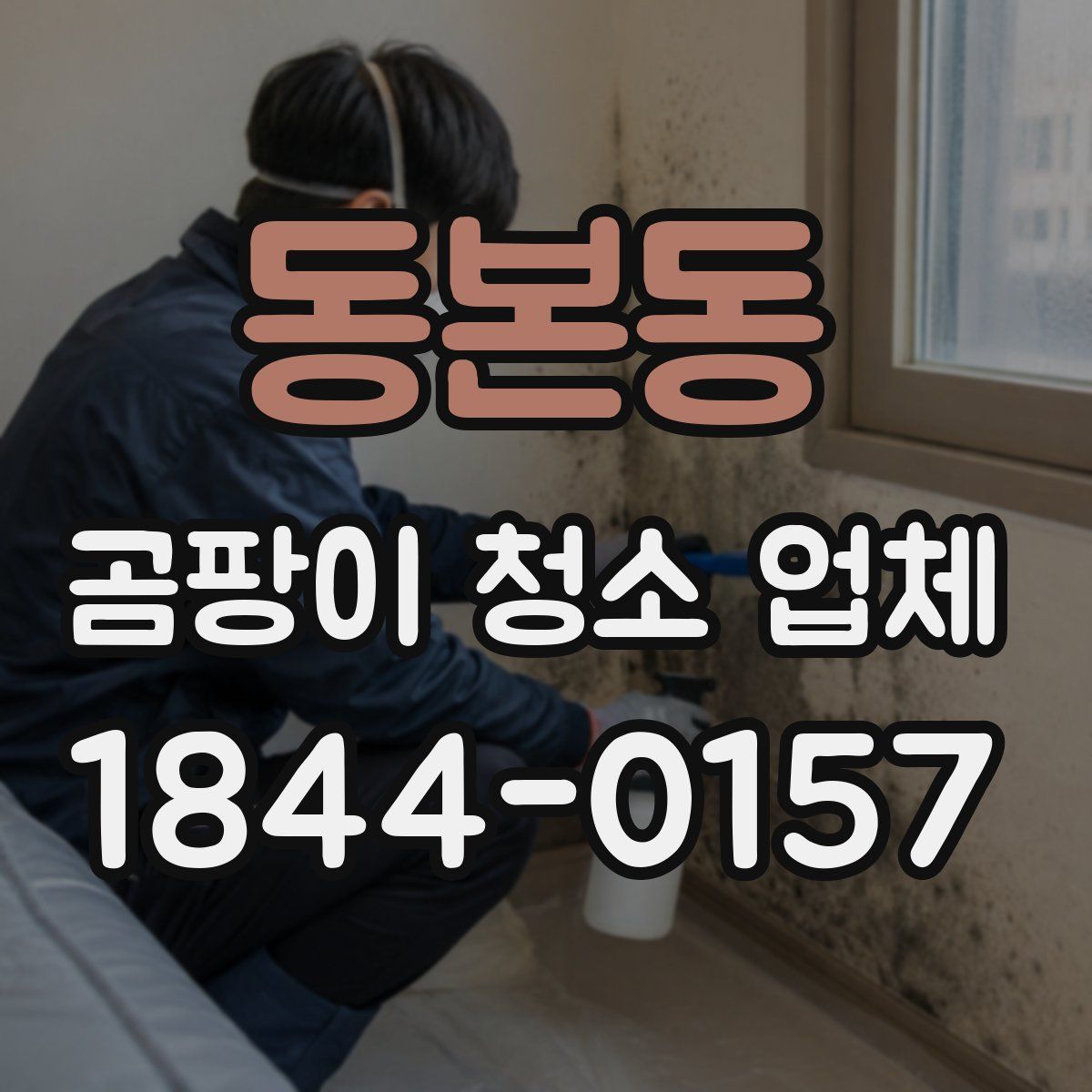 동본동 곰팡이 청소 업체