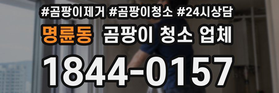 명륜동 곰팡이 청소 업체