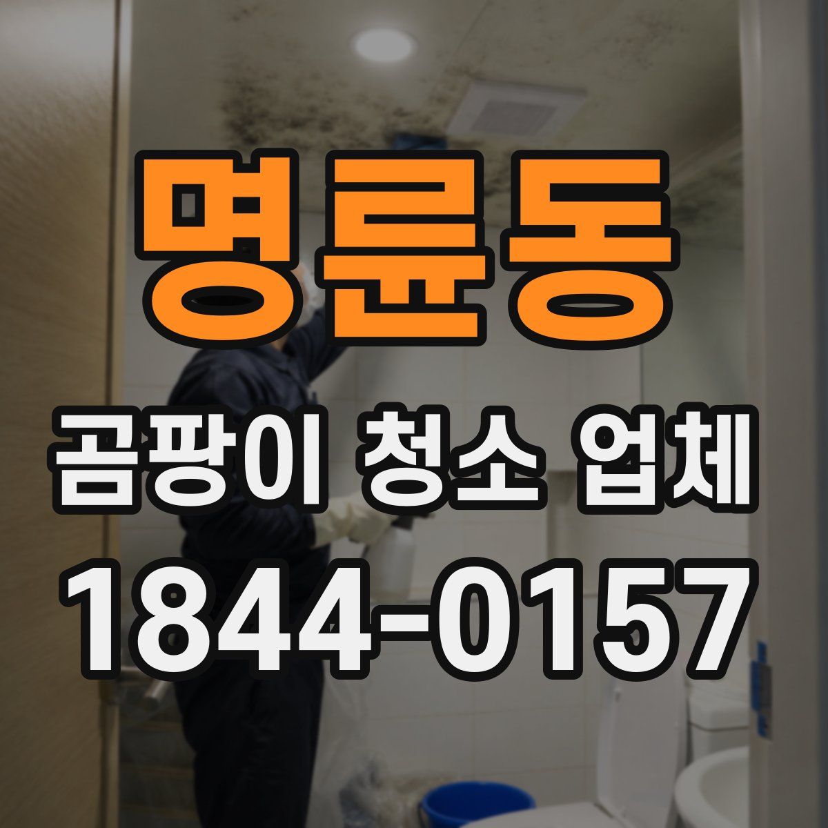 명륜동 곰팡이 청소 업체