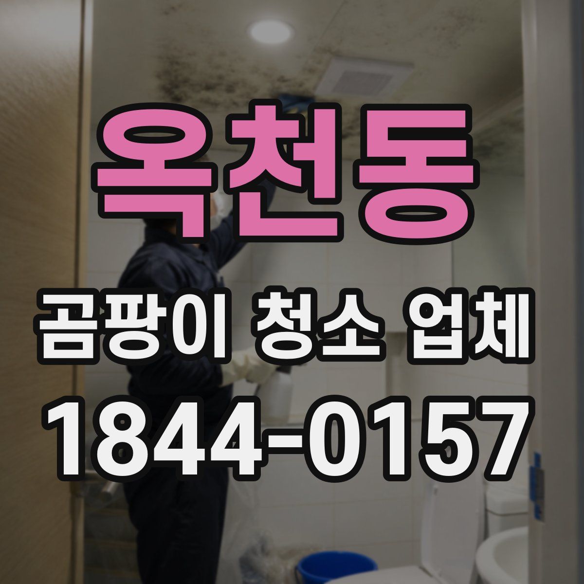 옥천동 곰팡이 청소 업체