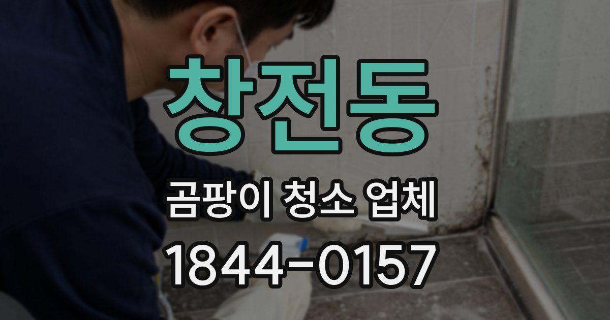 창전동 곰팡이 청소 업체
