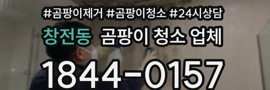 창전동 곰팡이 청소 업체
