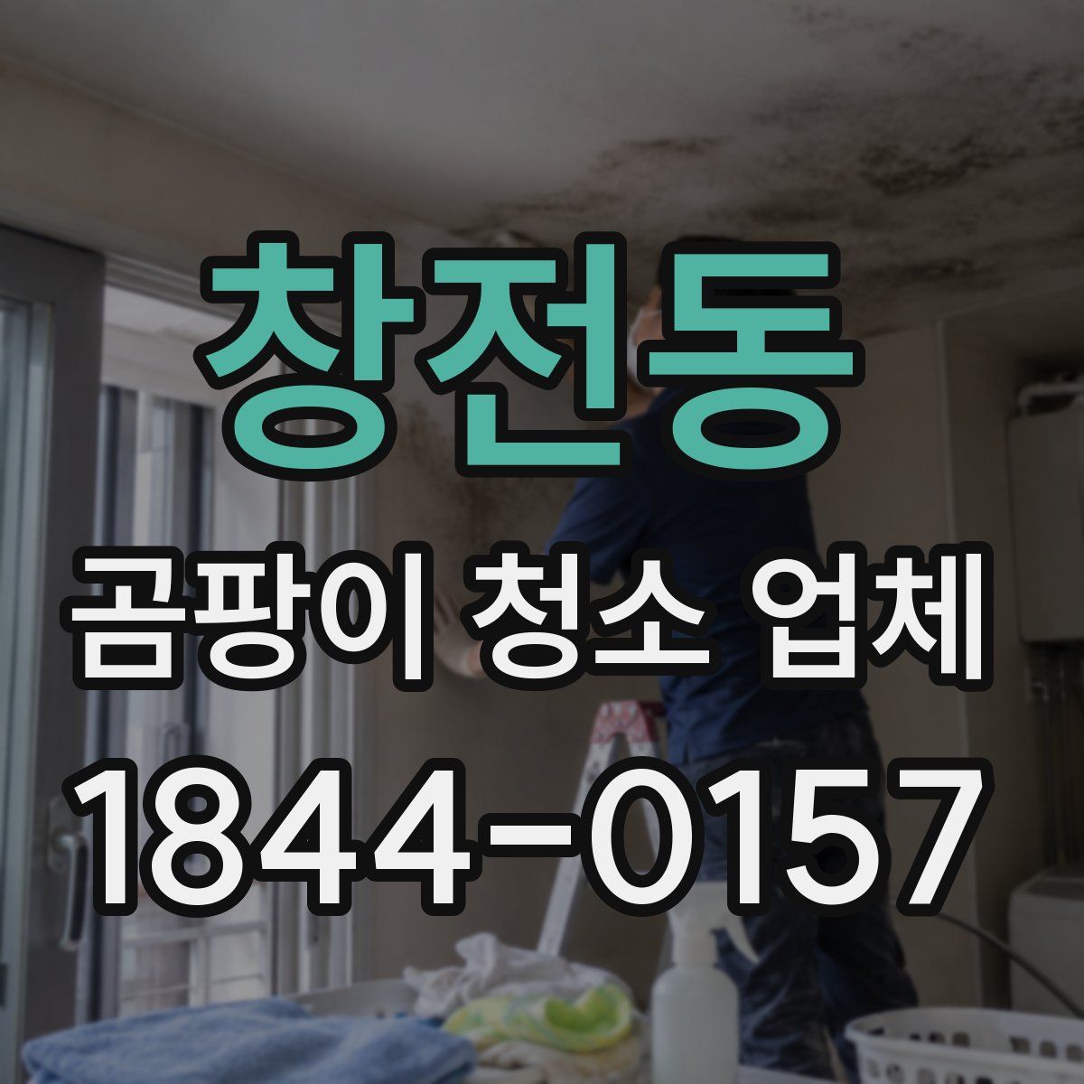 창전동 곰팡이 청소 업체