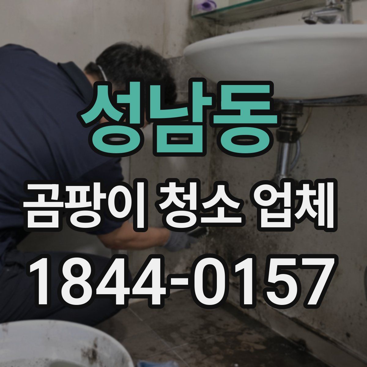 성남동 곰팡이 청소 업체
