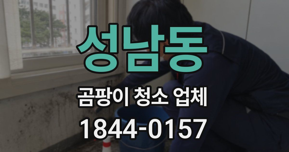 성남동 곰팡이 청소 업체