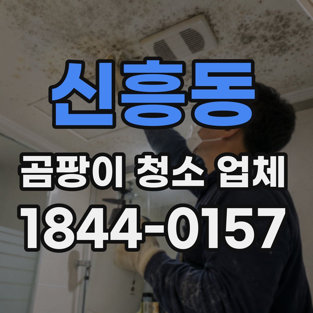 신흥동 곰팡이 청소 업체