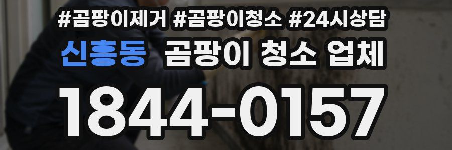 신흥동 곰팡이 청소 업체